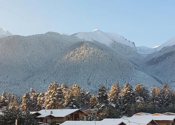 Pirin Bansko Appartement